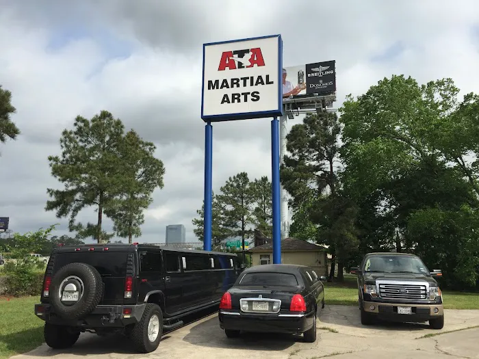 Karate of the Woodlands II Picture 10