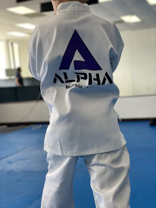 Alpha Martial Arts Picture 7