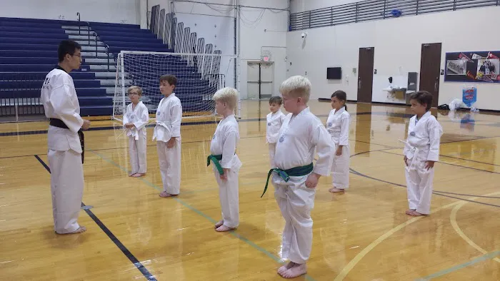 Master Kim's PMA Taekwondo (Creekside, Woodlands & Tomball) Picture 2