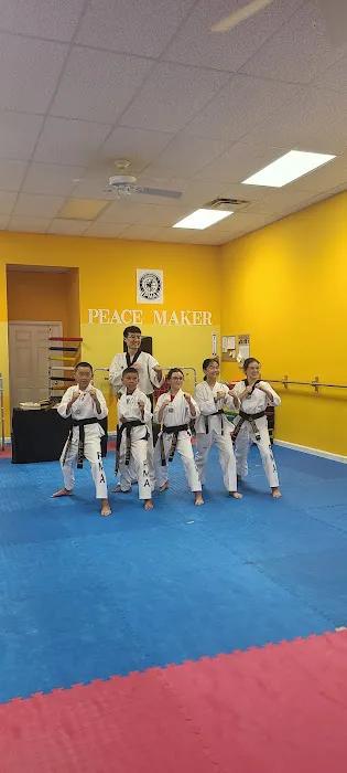 Master Kim's PMA Taekwondo (Creekside, Woodlands & Tomball) Picture 1