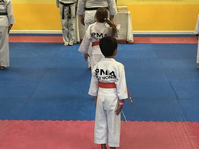 Master Kim's PMA Taekwondo (Creekside, Woodlands & Tomball) Picture 5
