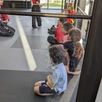Tiger-Rock Martial Arts of Creekside ico