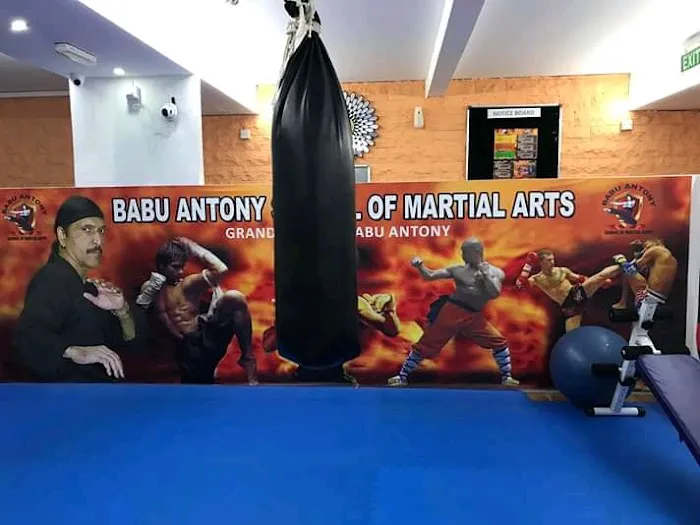 Babu Antony School of Martialarts USA Picture 4
