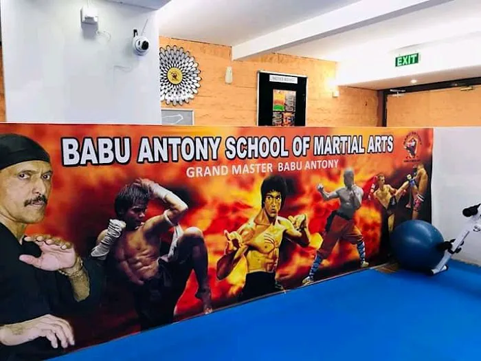 Babu Antony School of Martialarts USA Picture 1