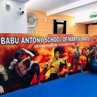 Babu Antony School of Martialarts USA ico