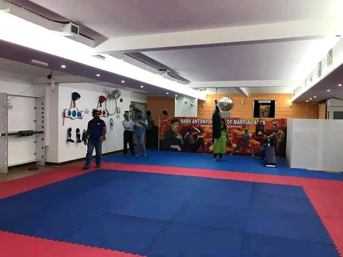 Babu Antony School of Martialarts USA Picture 3