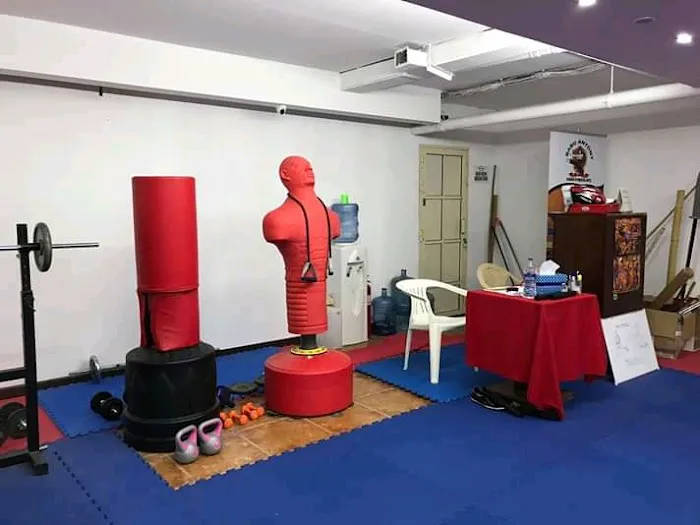 Babu Antony School of Martialarts USA Picture 2