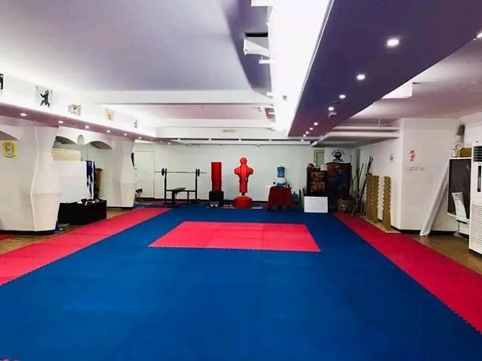 Babu Antony School of Martialarts USA Picture 10