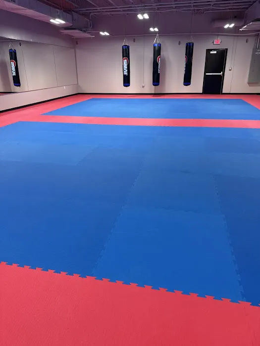 Budokan Martial Arts Picture 4