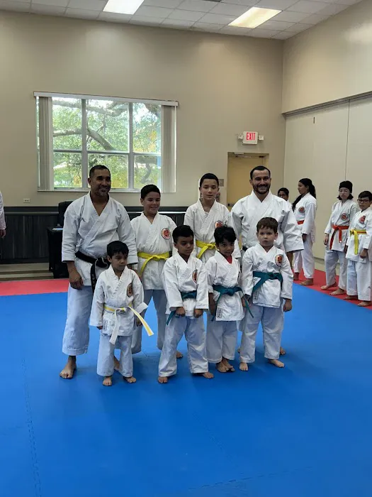 Budokan Martial Arts Picture 2