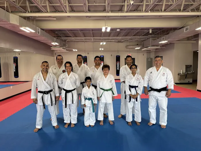 Budokan Martial Arts Picture 5