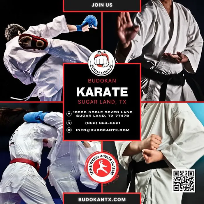 Budokan Martial Arts Picture 8