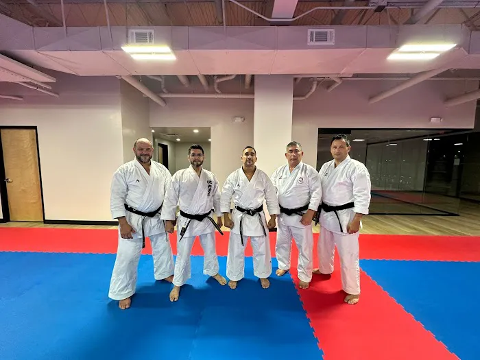 Budokan Martial Arts Picture 10