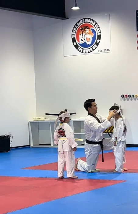 Tiger J Kim's World Class Taekwondo 2 Picture 1