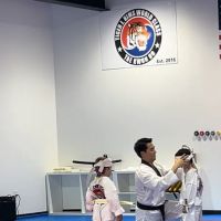 Tiger J Kim's World Class Taekwondo 2 ico