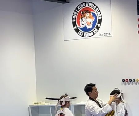 Tiger J Kim's World Class Taekwondo 2