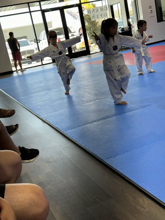 Tiger J Kim's World Class Taekwondo 2 Picture 3