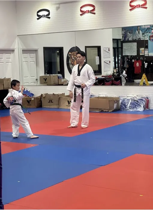 Tiger J Kim's World Class Taekwondo 2 Picture 4