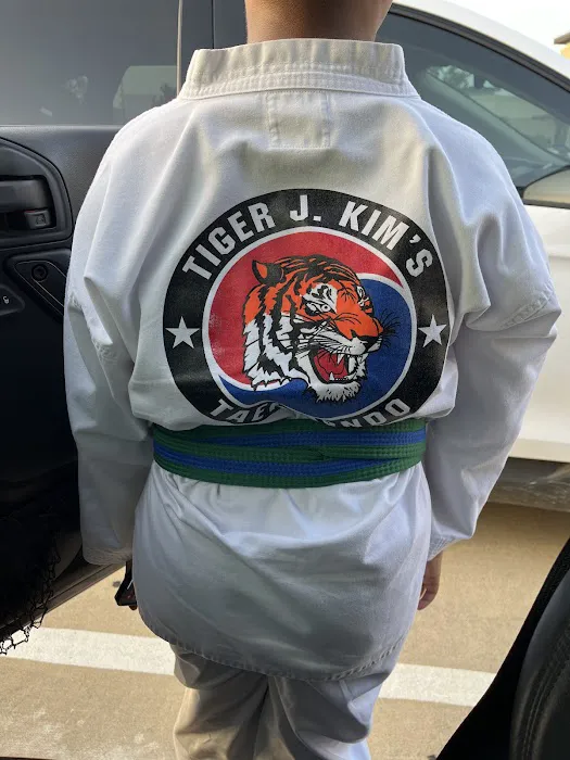 Tiger J Kim's World Class Taekwondo 2 Picture 9