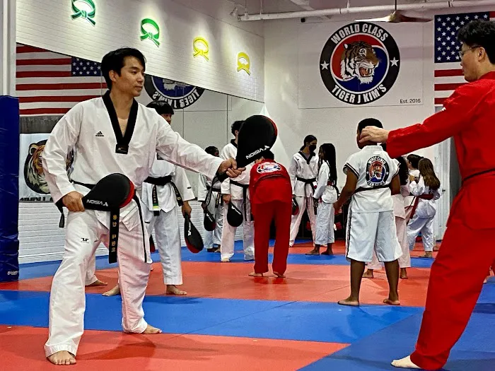 Tiger J Kim's World Class Taekwondo 2 Picture 8