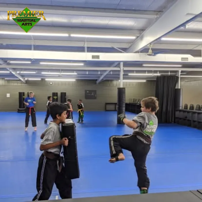 Premier Martial Arts - Rosenberg Picture 7