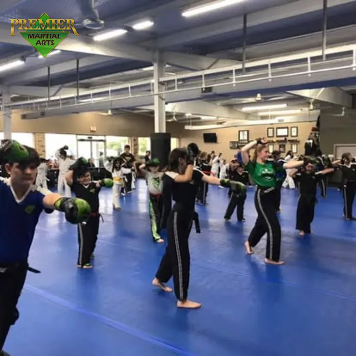Premier Martial Arts - Rosenberg Picture 8