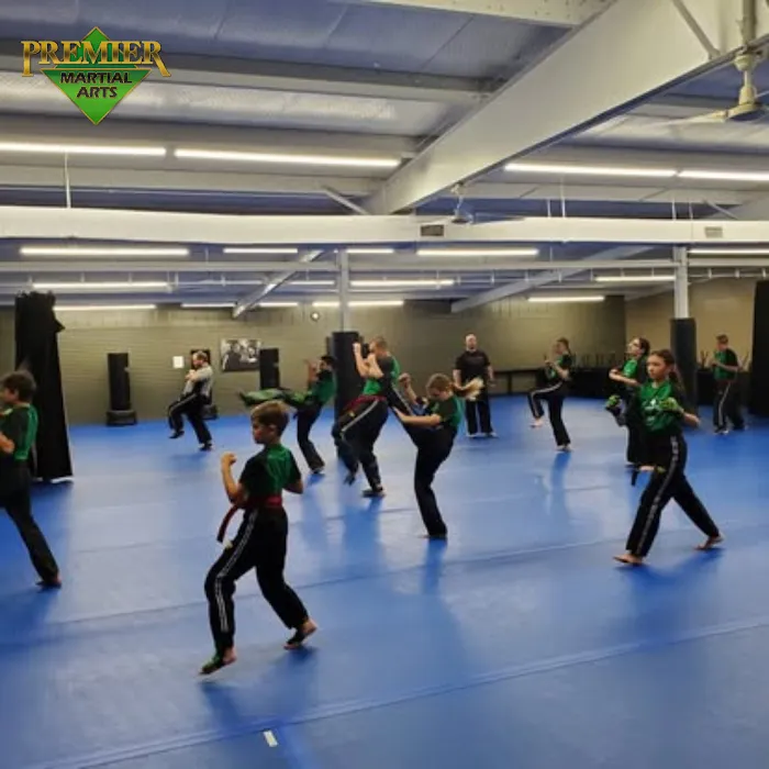 Premier Martial Arts - Rosenberg Picture 9