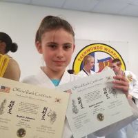 Liberty County Taekwondo Warriors ico