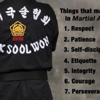 Kuk Sool Won of Kingwood ico
