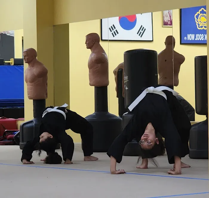 Kuk Sool Won of Kingwood Picture 5