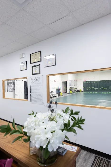Gracie Jiu-Jitsu Mayde Creek Picture 3