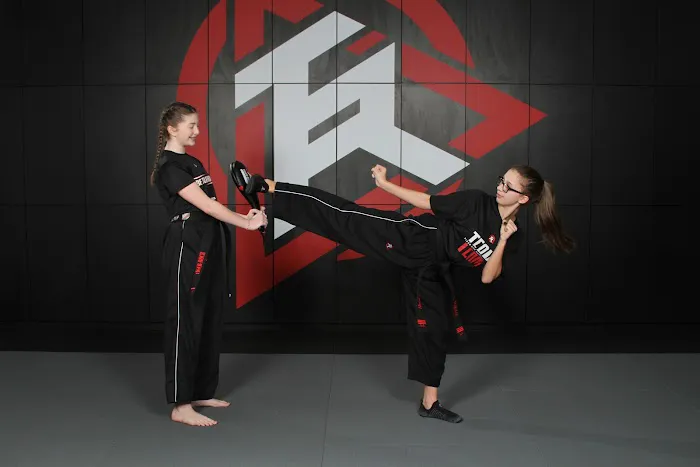 Tiger-Rock Martial Arts of Katy Picture 1