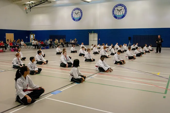 Tiger-Rock Martial Arts of Katy Picture 7