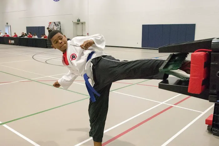 Tiger-Rock Martial Arts of Katy Picture 6