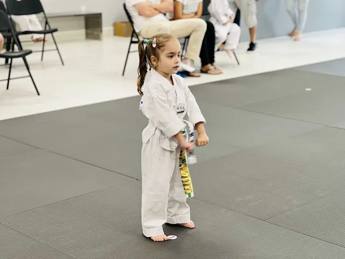 Parks Taekwondo Federation - Katy Picture 3