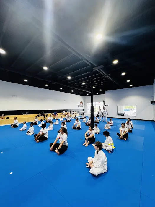 Parks Taekwondo Federation - Katy Picture 10