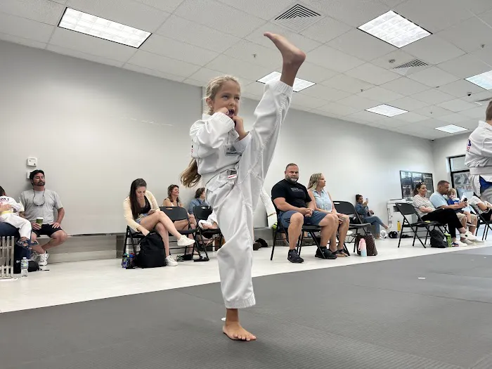 Parks Taekwondo Federation - Katy Picture 5