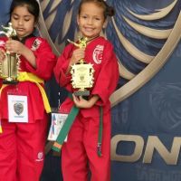 Golden Eagle Taekwondo ico