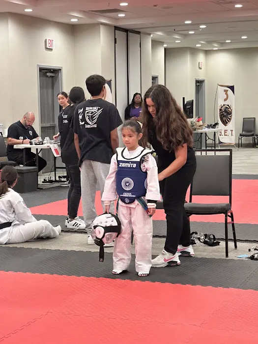 Golden Eagle Taekwondo Picture 3