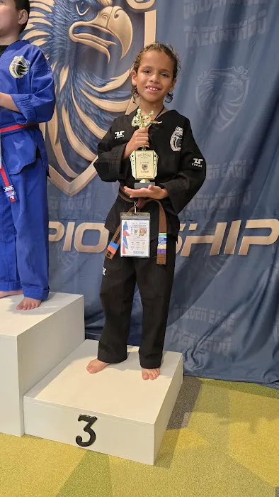 Golden Eagle Taekwondo Picture 2