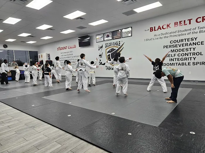 Golden Eagle Taekwondo Picture 7