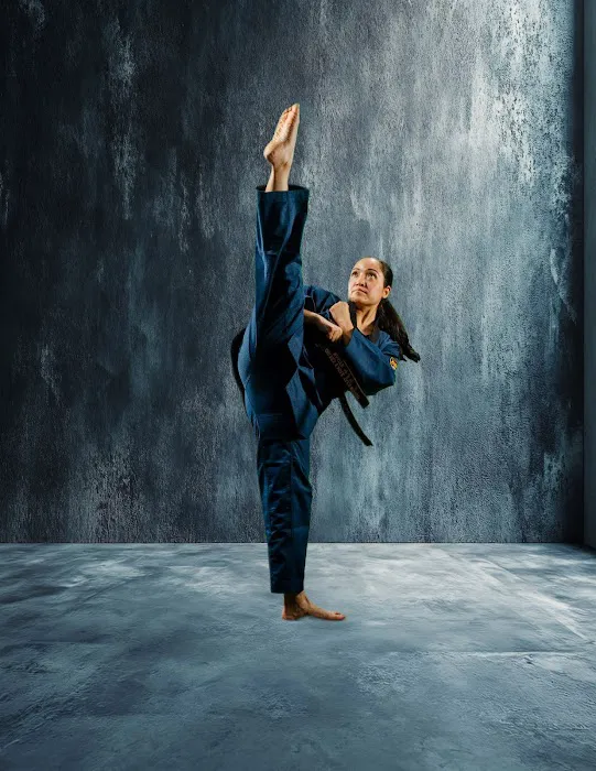 Golden Eagle Taekwondo Picture 9