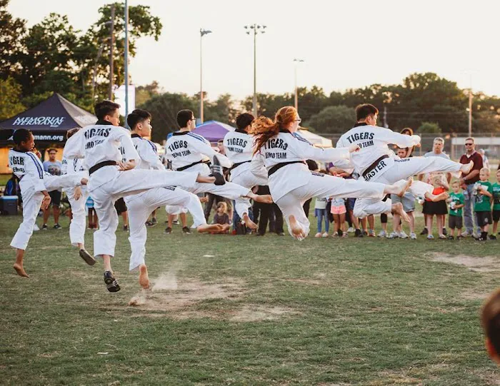 Hwarang Tigers Taekwondo / Martial Arts Group Picture 6