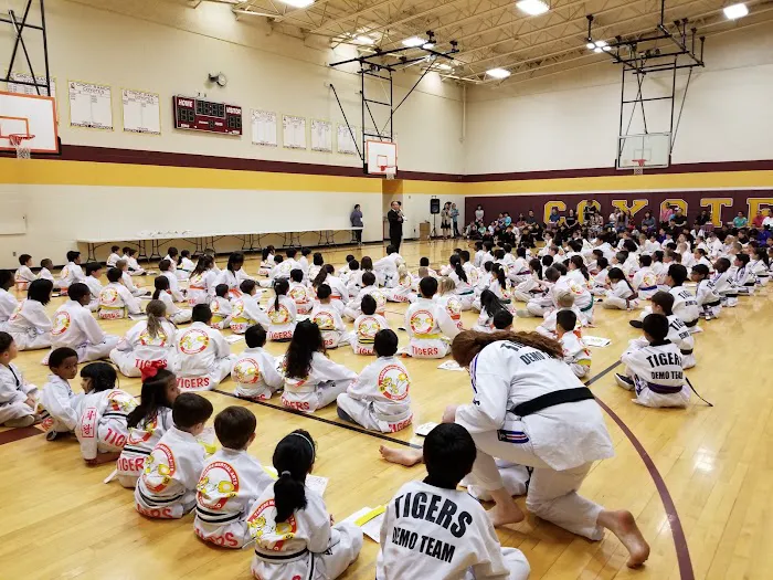 Hwarang Tigers Taekwondo / Martial Arts Group Picture 8