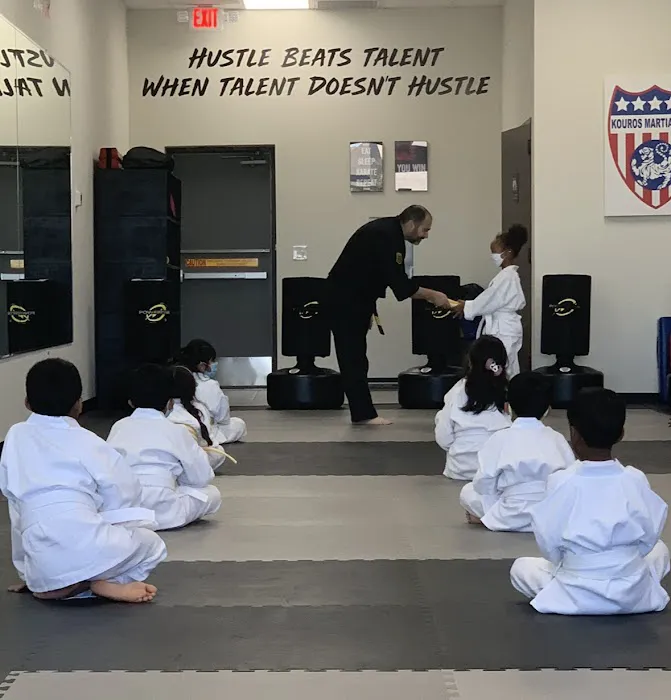 Kouros Martial Arts, LLC Picture 3