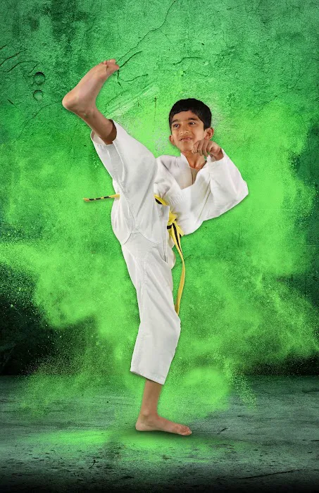 Fort Bend Taekwondo Picture 5