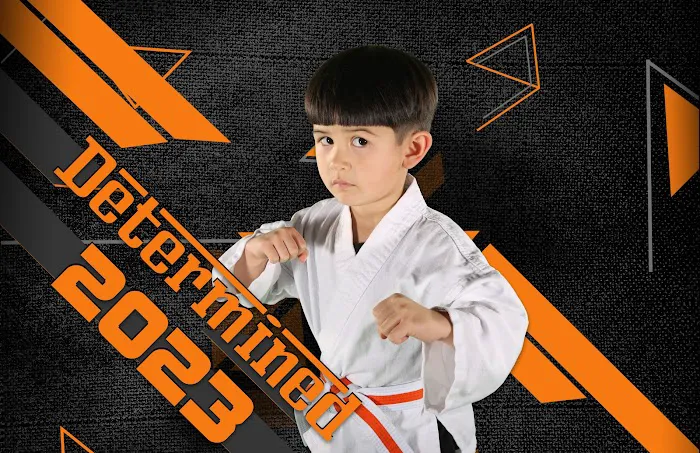 Fort Bend Taekwondo Picture 4