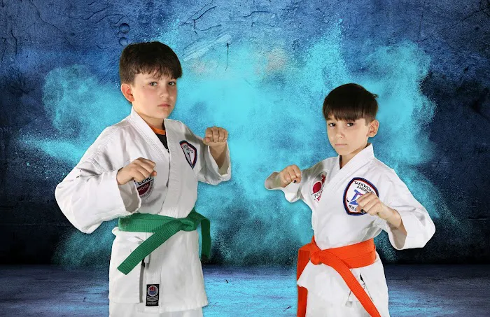 Fort Bend Taekwondo Picture 8