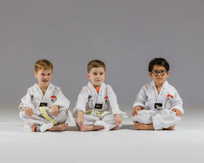 Titan Taekwondo / Martial Arts - Katy (Awarded Best Martial Arts School 2025 in Katy) Picture 3