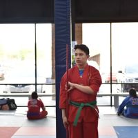 Vortexic Martial Arts ico